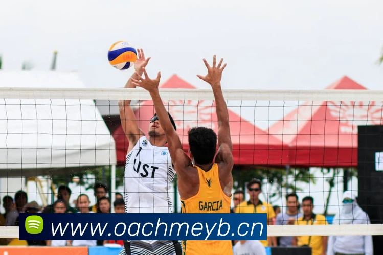 星空官方在线登录入口品牌故事